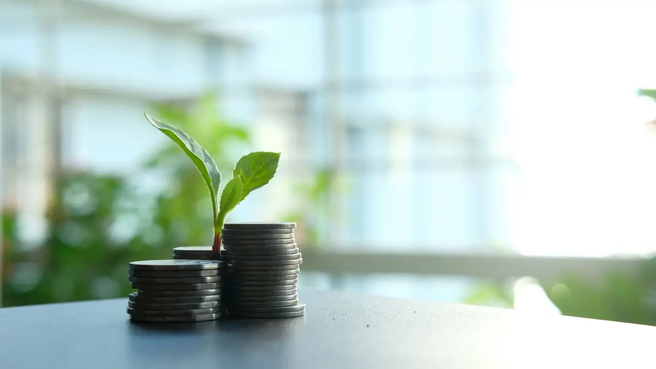 Como começar a investir com pouco dinheiro (guia para iniciantes)