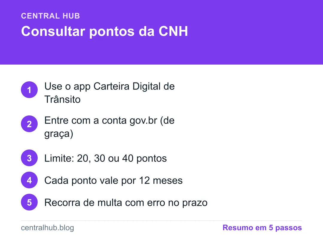 Resumo em passos: Como consultar os pontos da CNH e o que fazer (passo a passo)